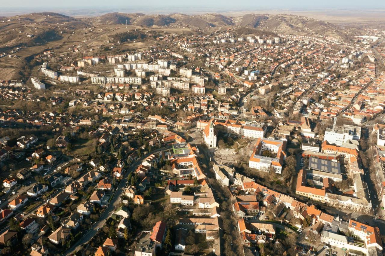 Munkacsy Villa - Szekszárd Εξωτερικό φωτογραφία